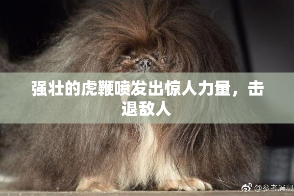 强壮的虎鞭喷发出惊人力量，击退敌人
