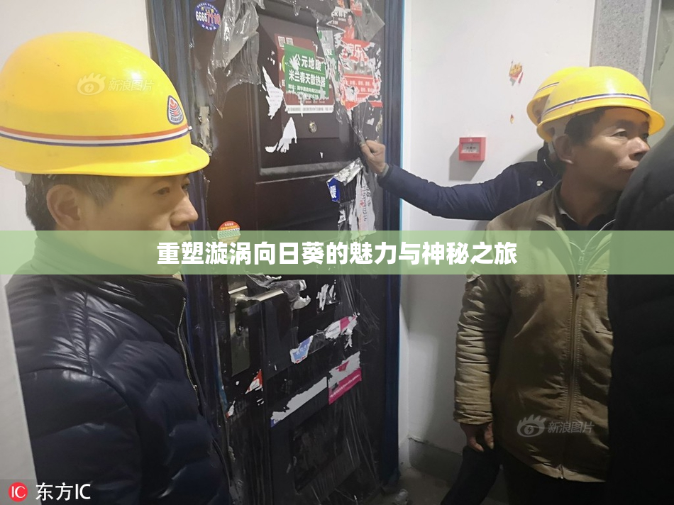 重塑漩涡向日葵的魅力与神秘之旅