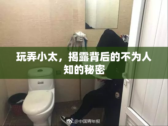 玩弄小太，揭露背后的不为人知的秘密
