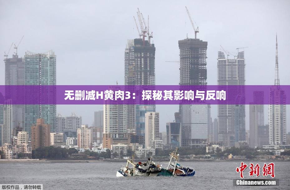 无删减H黄肉3：探秘其影响与反响