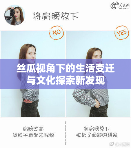 丝瓜视角下的生活变迁与文化探索新发现