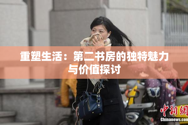 重塑生活：第二书房的独特魅力与价值探讨