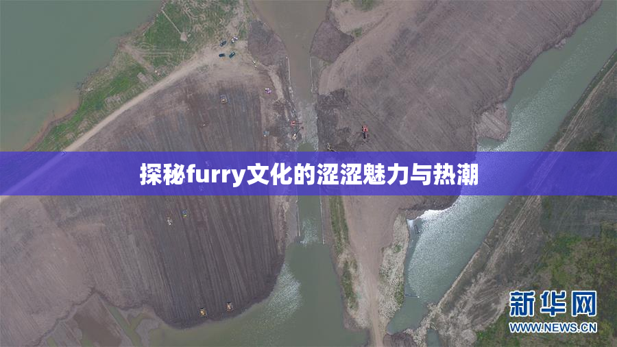 探秘furry文化的涩涩魅力与热潮