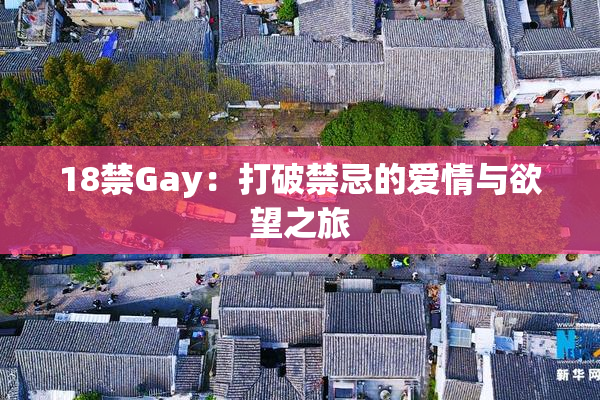 18禁Gay：打破禁忌的爱情与欲望之旅