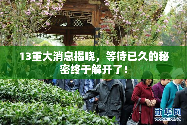 13重大消息揭晓，等待已久的秘密终于解开了！