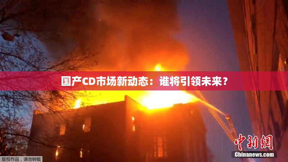 国产CD市场新动态：谁将引领未来？