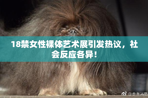 18禁女性裸体艺术展引发热议，社会反应各异！