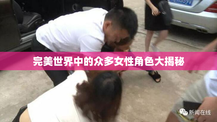 完美世界中的众多女性角色大揭秘