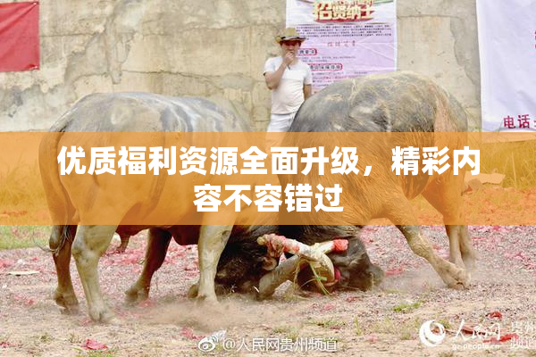 优质福利资源全面升级，精彩内容不容错过