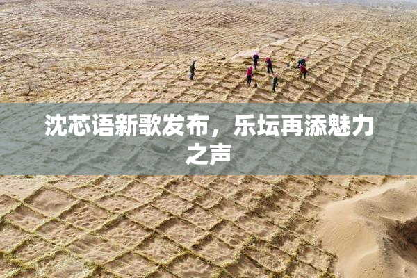 沈芯语新歌发布，乐坛再添魅力之声
