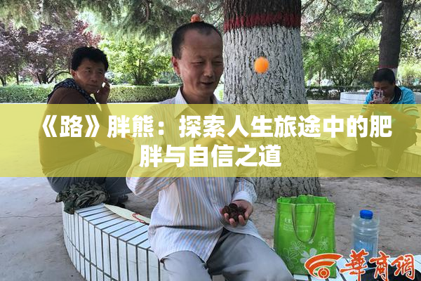 《路》胖熊：探索人生旅途中的肥胖与自信之道