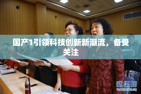 国产1引领科技创新新潮流，备受关注