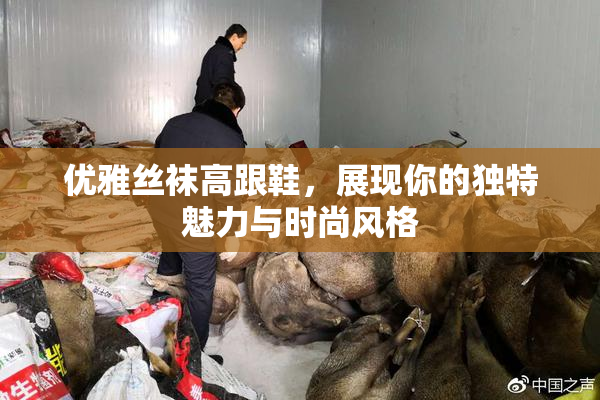 优雅丝袜高跟鞋，展现你的独特魅力与时尚风格