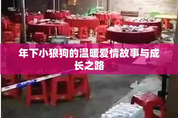 年下小狼狗的温暖爱情故事与成长之路
