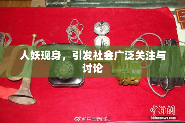 人妖现身，引发社会广泛关注与讨论