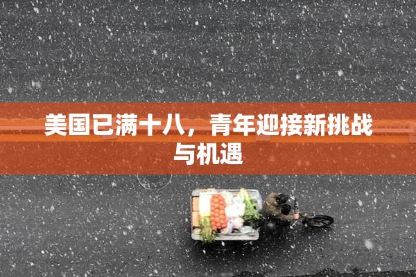 美国已满十八，青年迎接新挑战与机遇