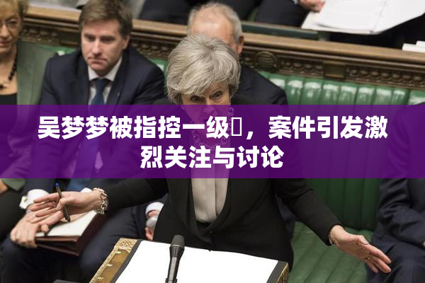 吴梦梦被指控一级婬，案件引发激烈关注与讨论