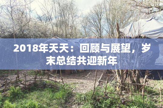 2018年天天：回顾与展望，岁末总结共迎新年
