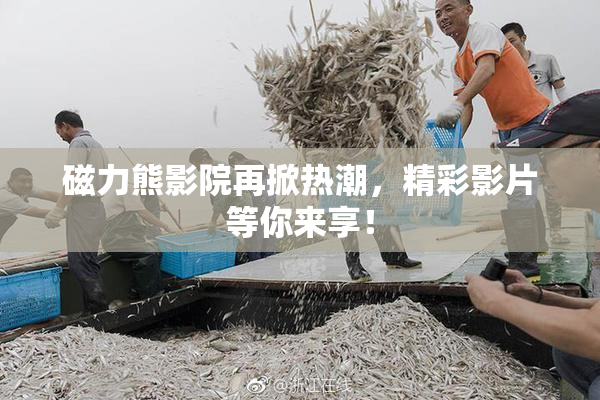 磁力熊影院再掀热潮，精彩影片等你来享！