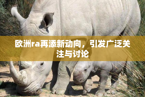 欧洲ra再添新动向，引发广泛关注与讨论