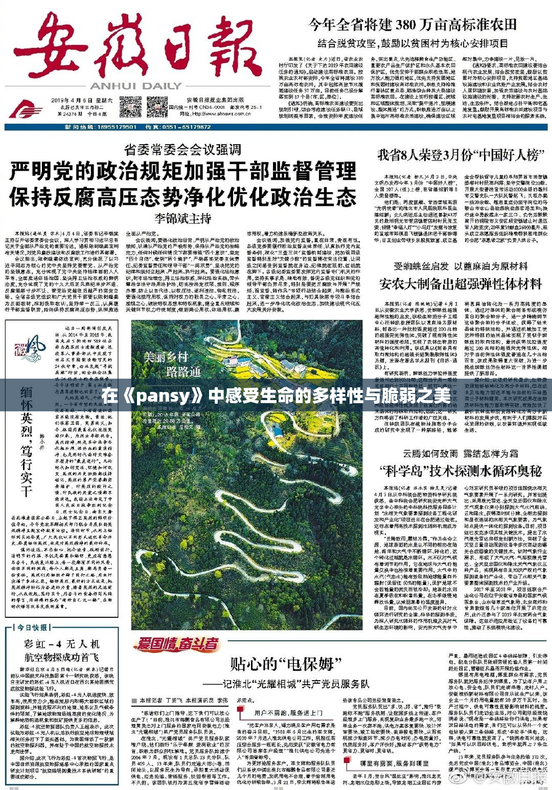 在《pansy》中感受生命的多样性与脆弱之美