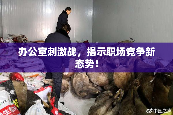 办公室刺激战，揭示职场竞争新态势！