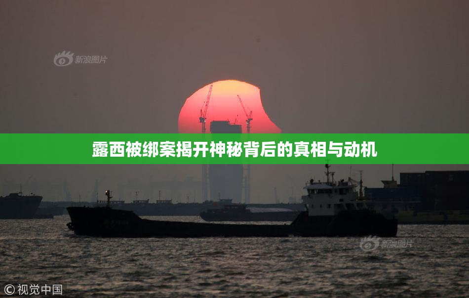 露西被绑案揭开神秘背后的真相与动机