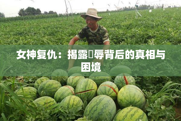 女神复仇：揭露婬辱背后的真相与困境