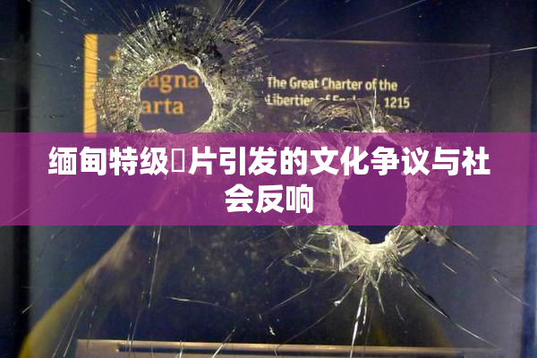 缅甸特级婬片引发的文化争议与社会反响