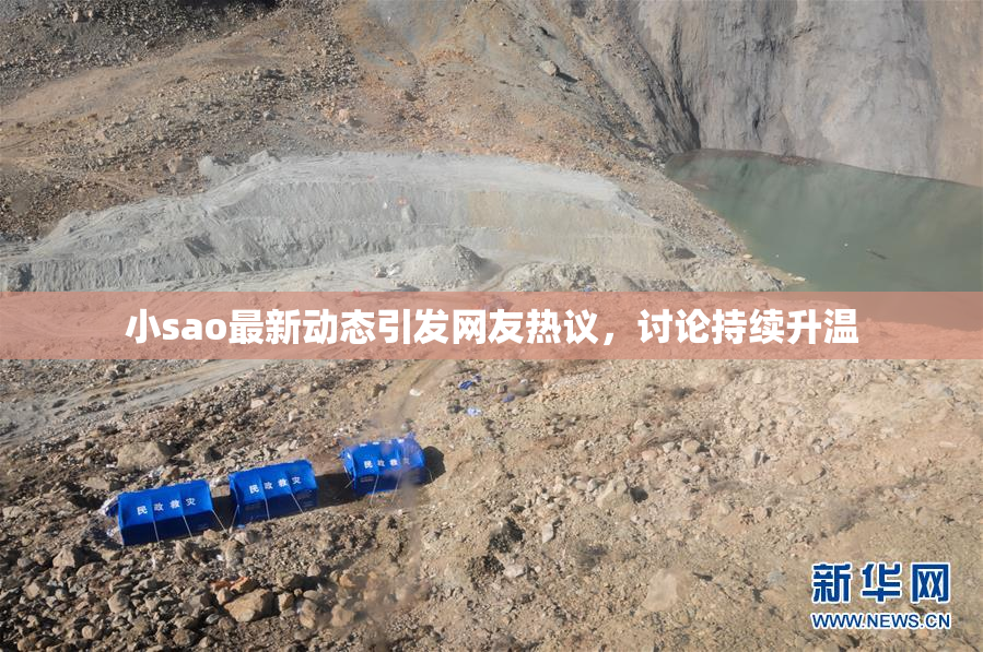 小sao最新动态引发网友热议，讨论持续升温