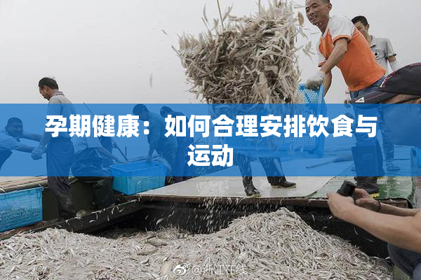 孕期健康：如何合理安排饮食与运动
