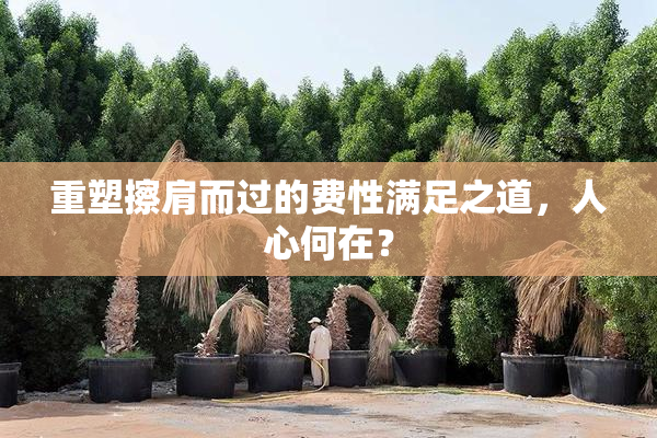 重塑擦肩而过的费性满足之道，人心何在？