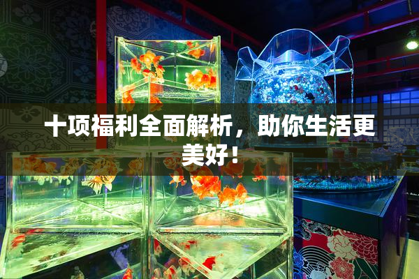 十项福利全面解析，助你生活更美好！