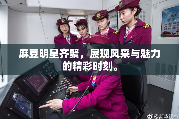 麻豆明星齐聚，展现风采与魅力的精彩时刻。