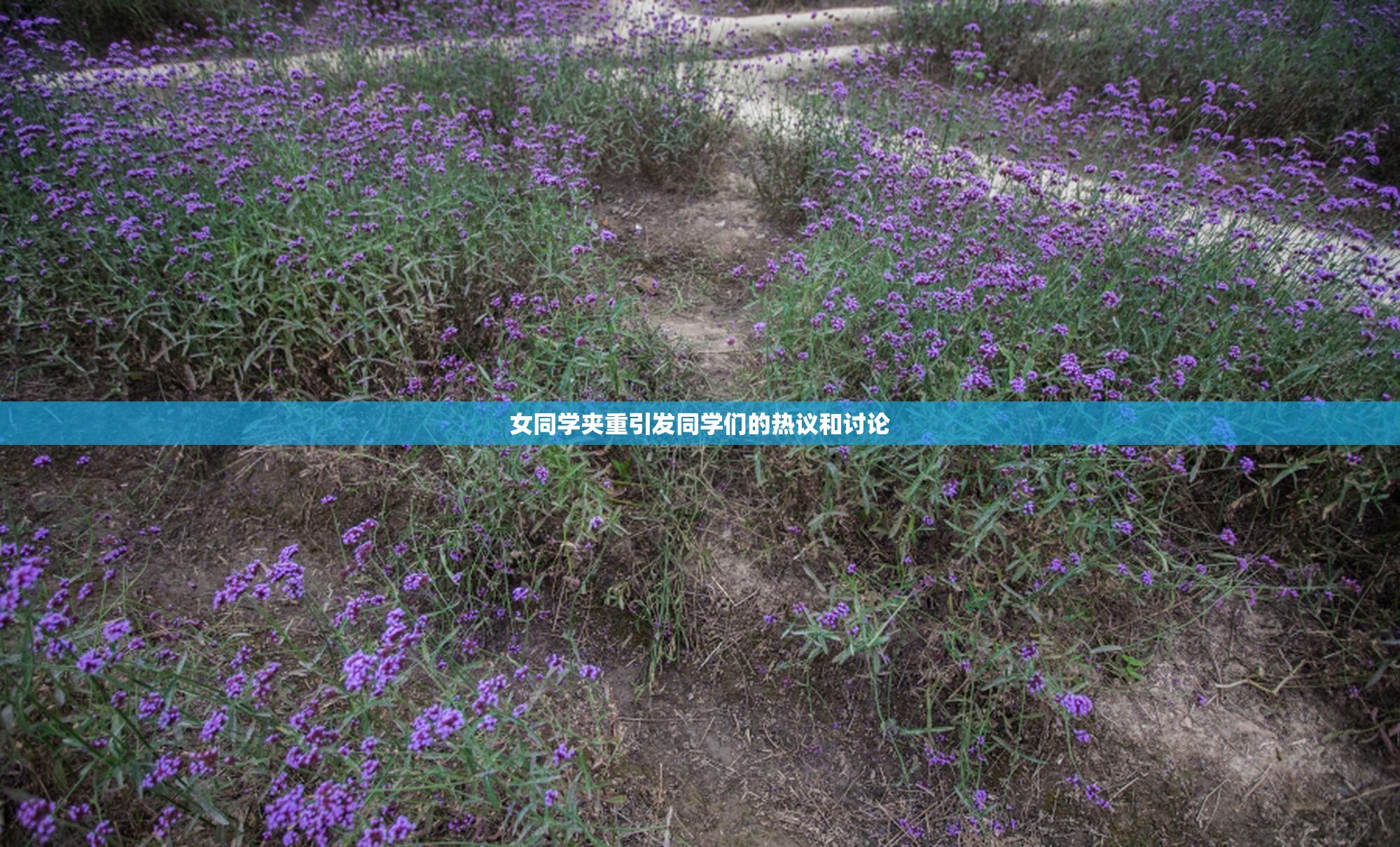女同学夹重引发同学们的热议和讨论