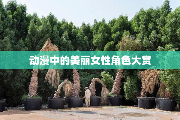 动漫中的美丽女性角色大赏
