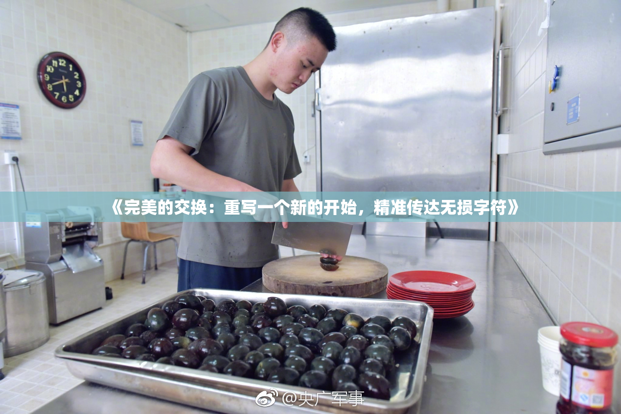 《完美的交换：重写一个新的开始，精准传达无损字符》