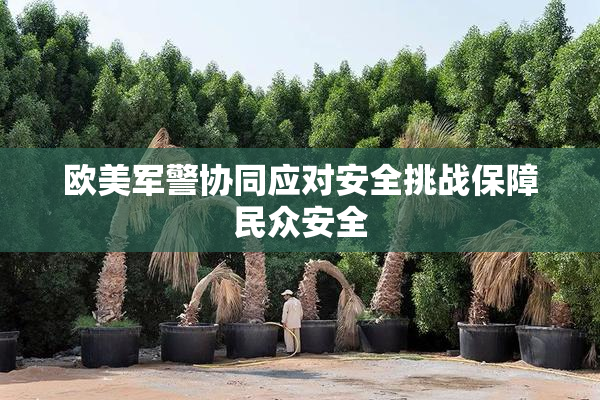 欧美军警协同应对安全挑战保障民众安全