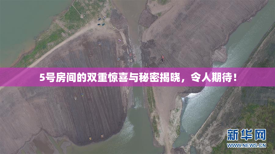 5号房间的双重惊喜与秘密揭晓，令人期待！