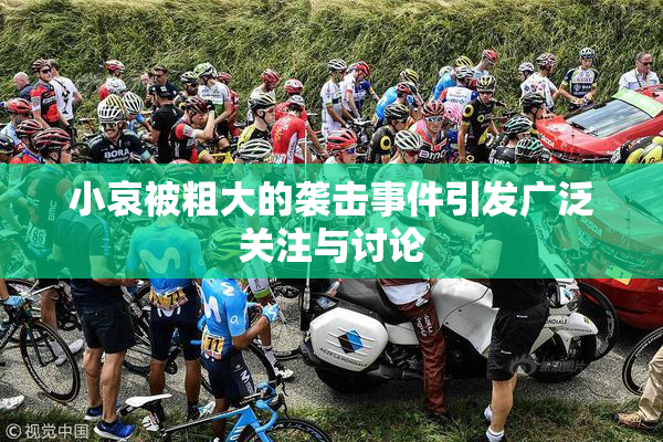 小哀被粗大的袭击事件引发广泛关注与讨论