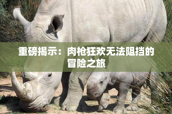重磅揭示：肉枪狂欢无法阻挡的冒险之旅