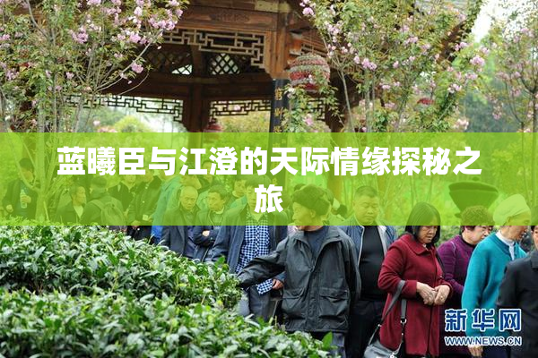蓝曦臣与江澄的天际情缘探秘之旅