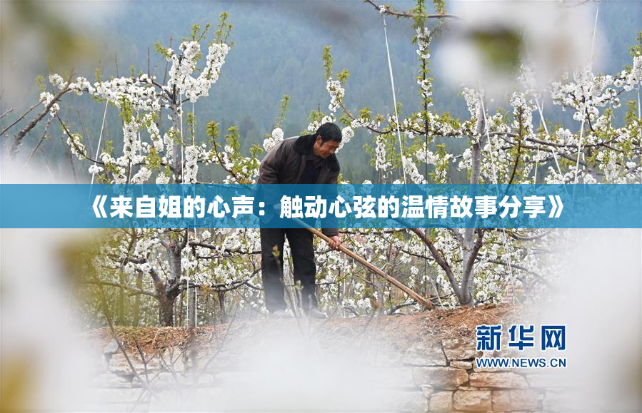 《来自姐的心声：触动心弦的温情故事分享》