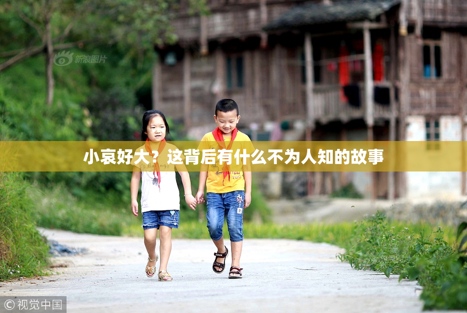 小哀好大？这背后有什么不为人知的故事
