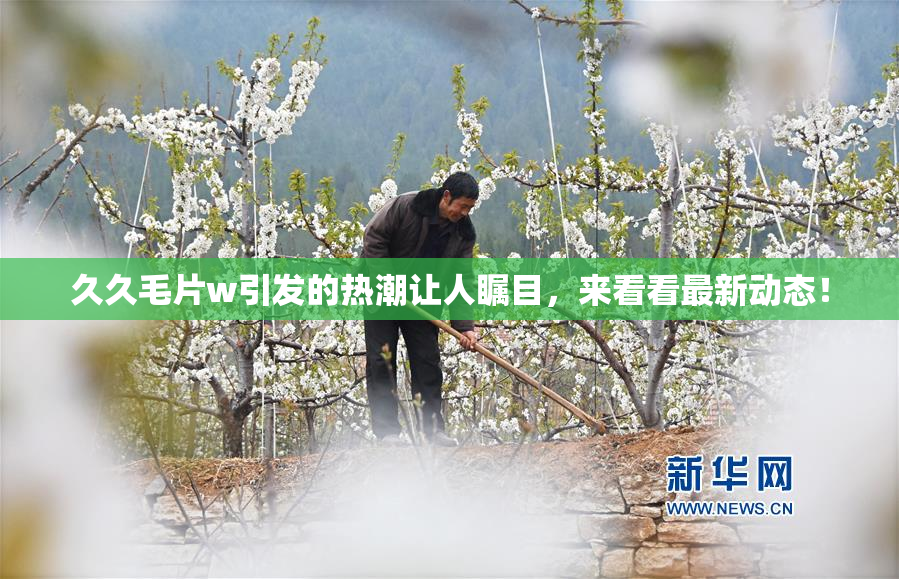 久久毛片w引发的热潮让人瞩目，来看看最新动态！