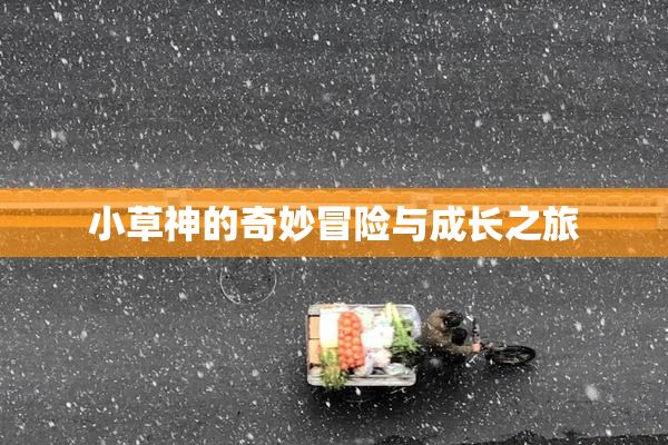 小草神的奇妙冒险与成长之旅