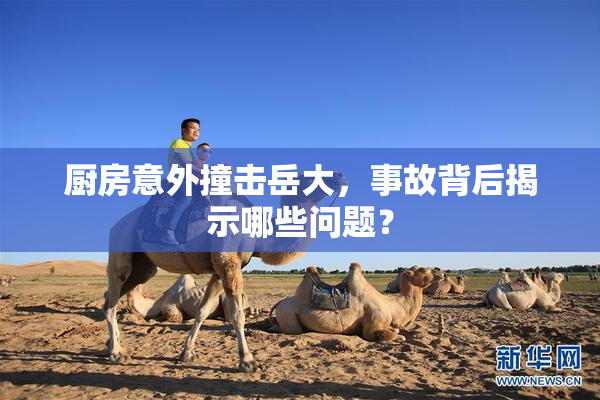 厨房意外撞击岳大，事故背后揭示哪些问题？