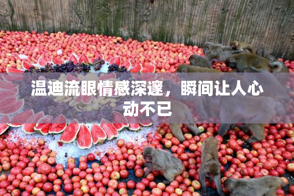 温迪流眼情感深邃，瞬间让人心动不已