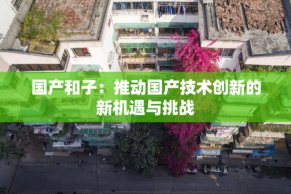 国产和子：推动国产技术创新的新机遇与挑战