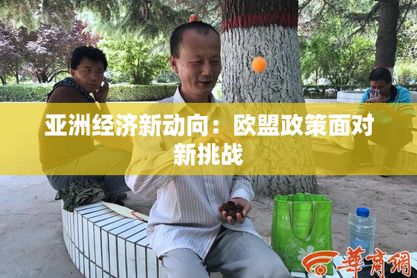 亚洲经济新动向：欧盟政策面对新挑战